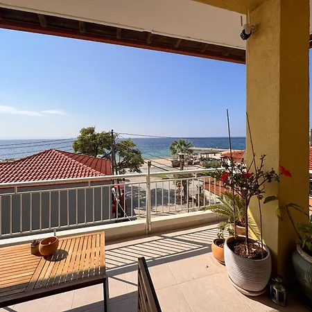 View * ניקיטי
