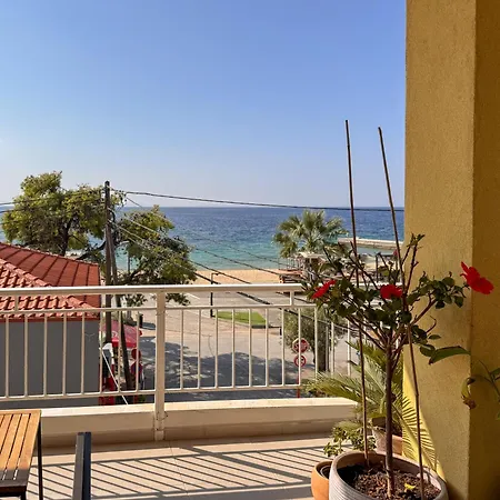 Apartment View