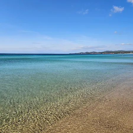 דירה View